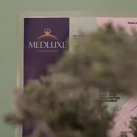 Medluxe Business Apartment *